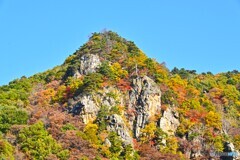 彩姿