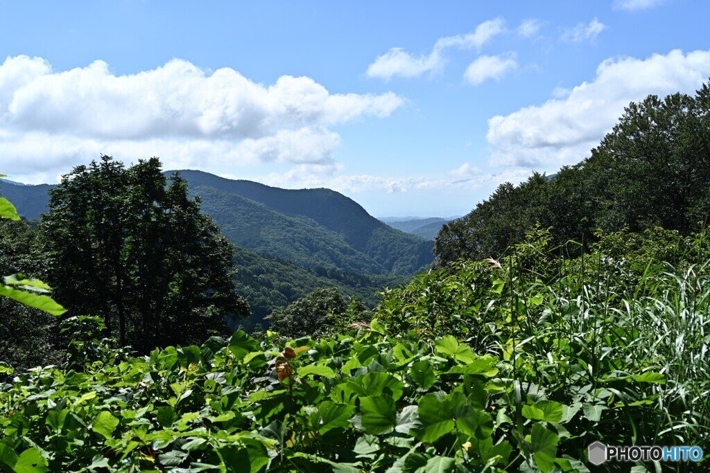 峠の夏