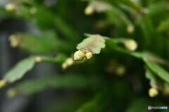 近付く日々