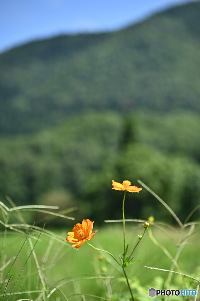 秋近し