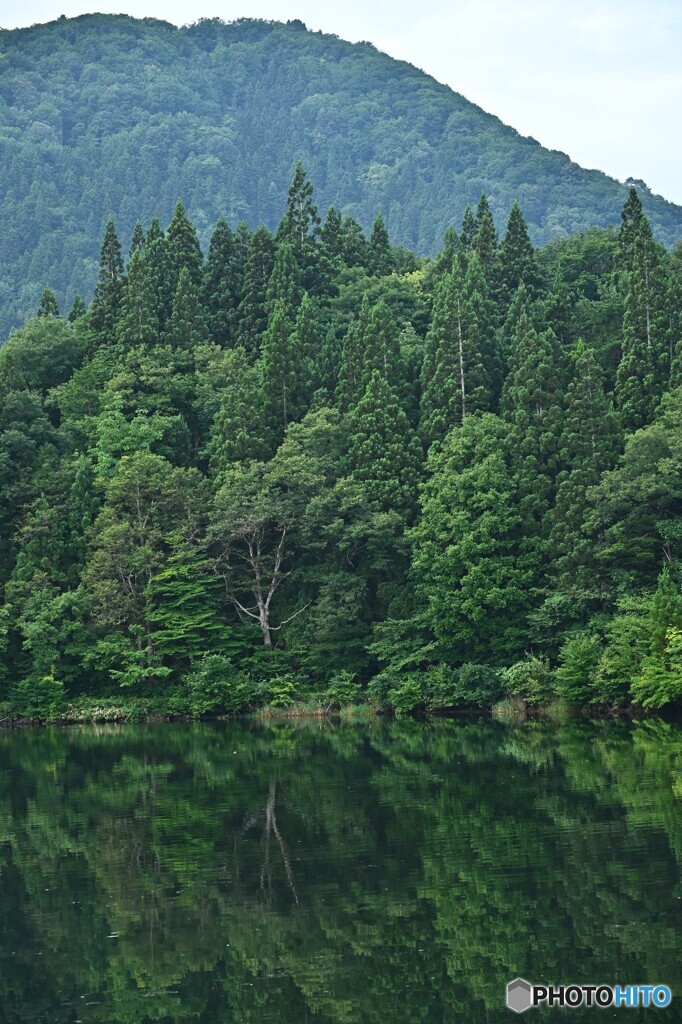 濃緑映して・・・静寂