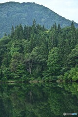 濃緑映して・・・静寂