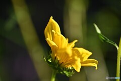 季節到来