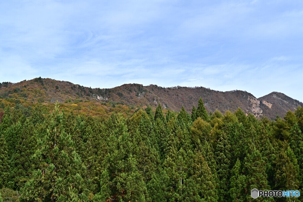 色付く竜山連山