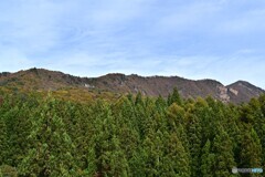 色付く竜山連山