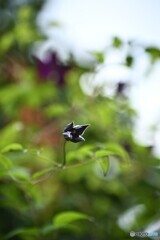 残り物には