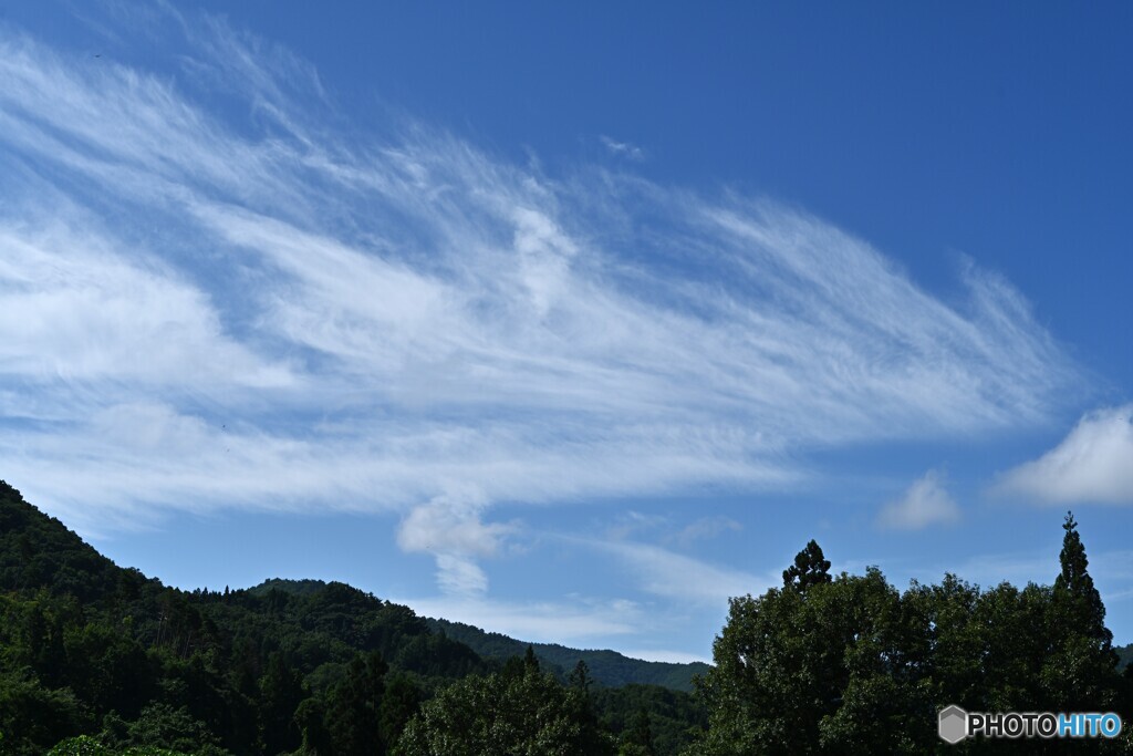 夏の青空