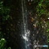 自然の打ち水