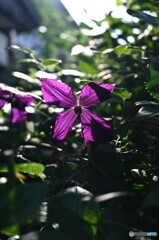 爽やかな目覚め 爽やかな目覚め