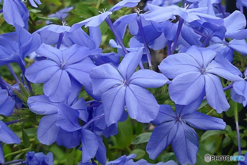 夏名残り