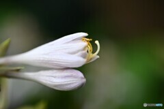 晴れ間を待って
