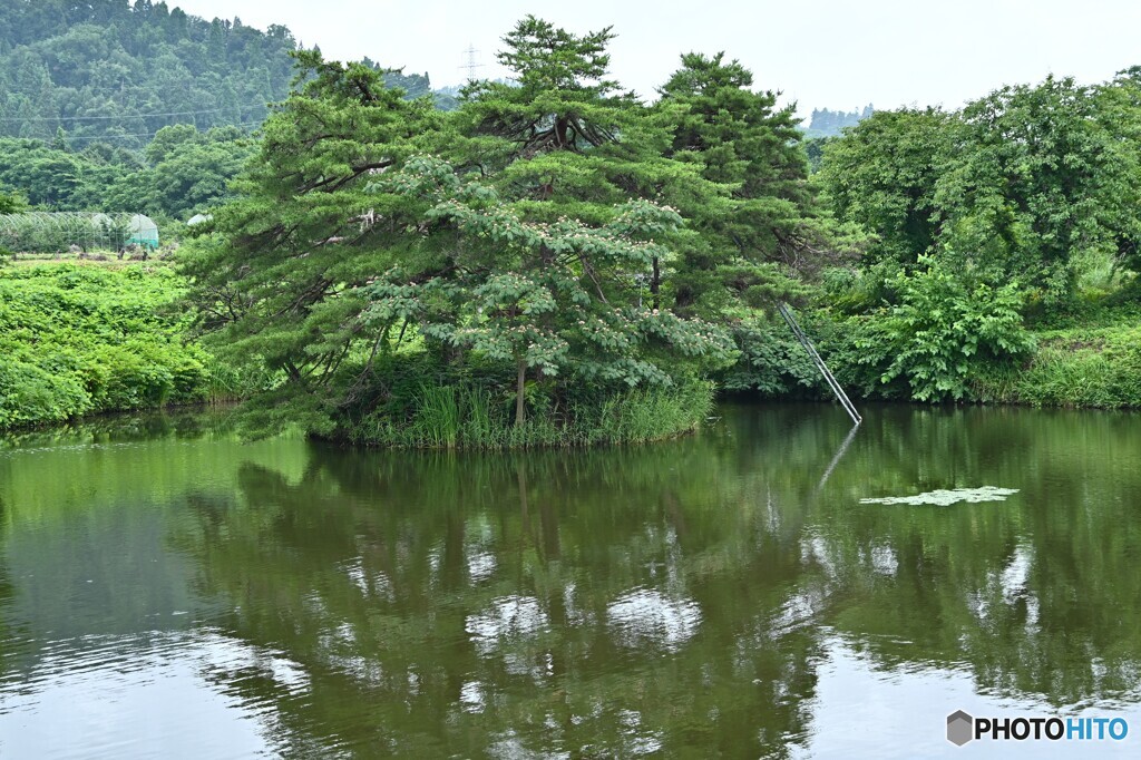 山里の水辺