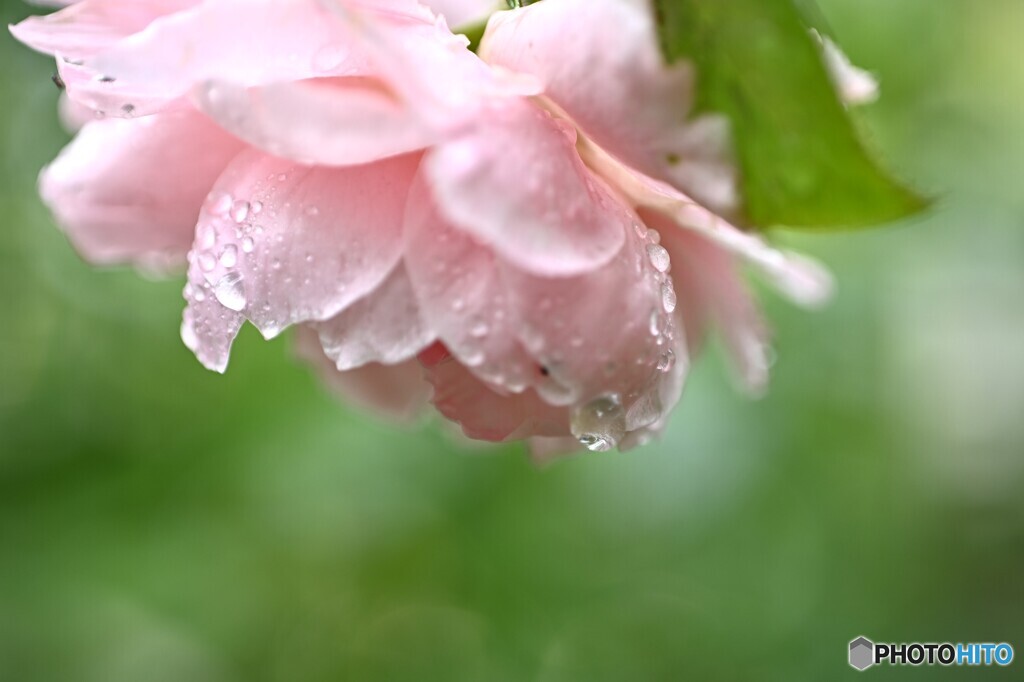 豪雨の厳しさ