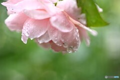 豪雨の厳しさ