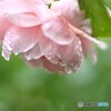 豪雨の厳しさ