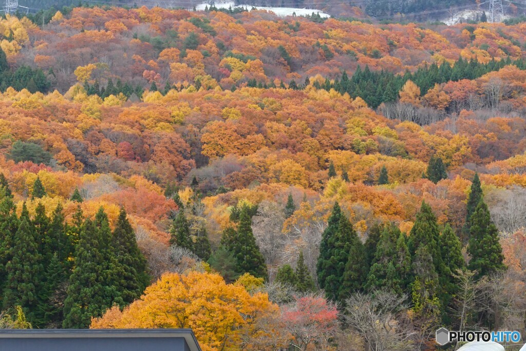 雪待つ高原