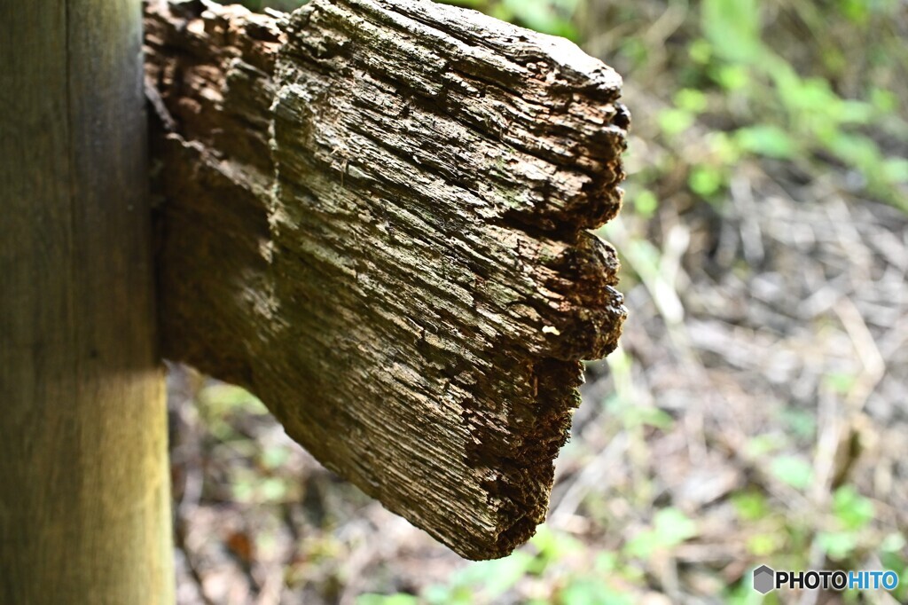 年月重ねた道標