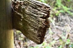 年月重ねた道標