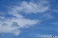 流るる夏雲