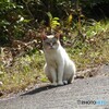 お出迎え