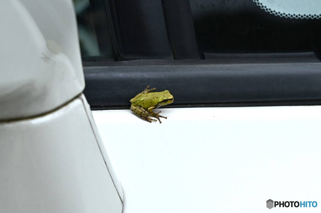一緒に乗せてって