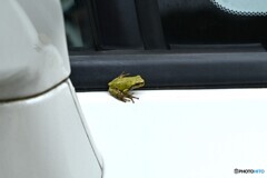 一緒に乗せてって