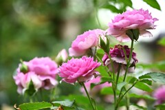茹だる暑さの中で