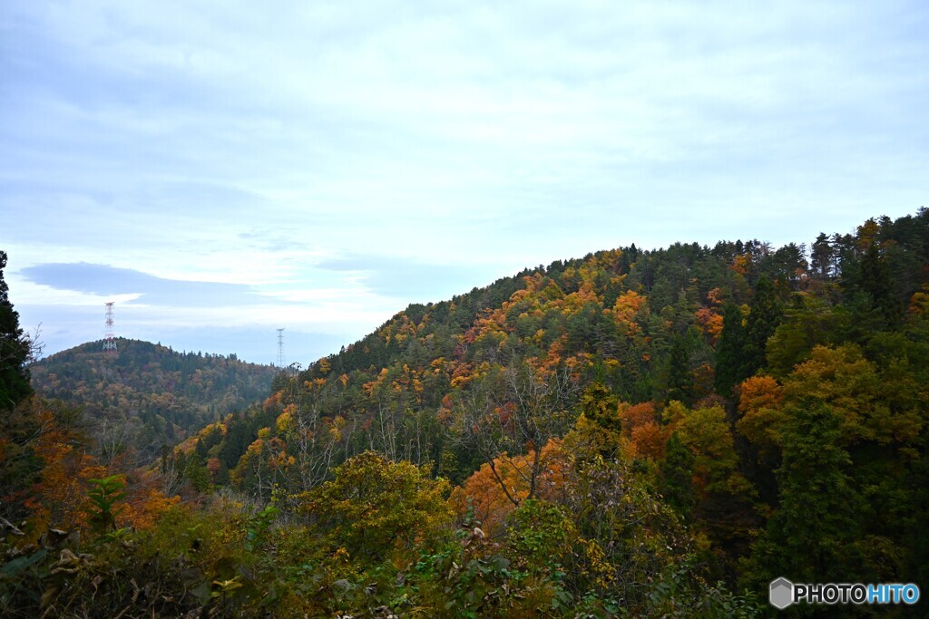 初冬の山野