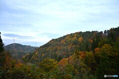 初冬の山野