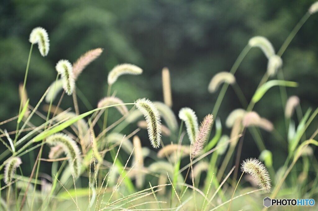 移り行く時節