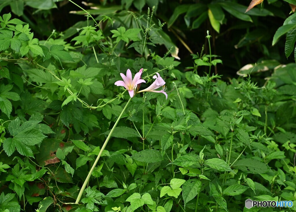 物想う時