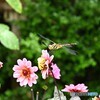 ちょっと休ませて