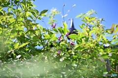 お気に入りの天気 お気に入りの天気