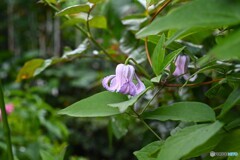 静かに時が 静かに時が