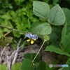ごあいさつ
