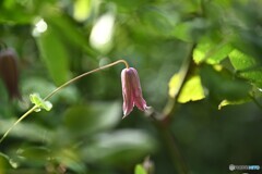 暑い日の朝 暑い日の朝