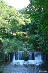 僅かな涼