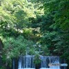 僅かな涼
