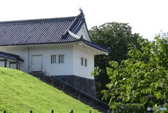 落ち着く色彩
