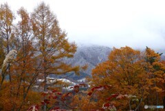初雪