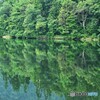 緑鏡面