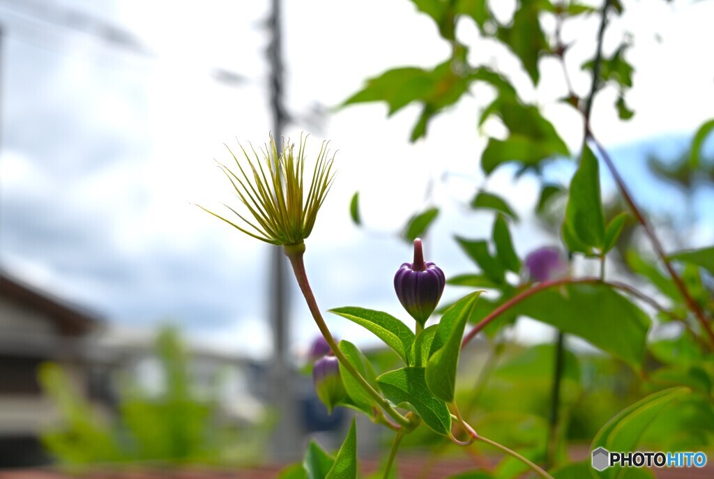 新旧