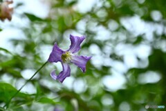 過ごし易い時 過ごし易い時