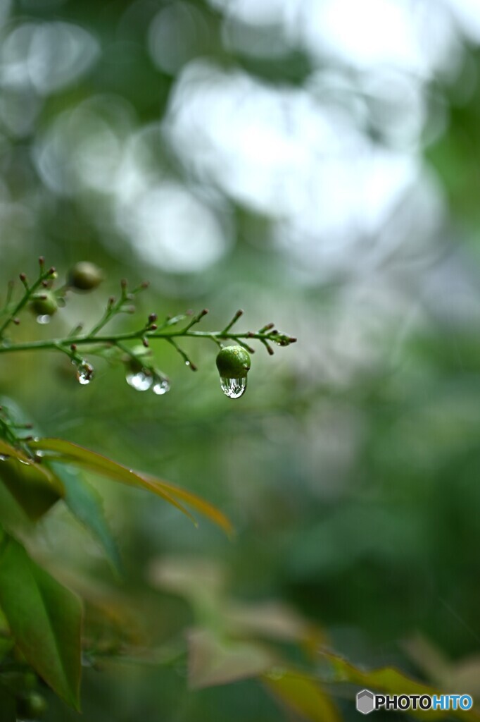 天候不順