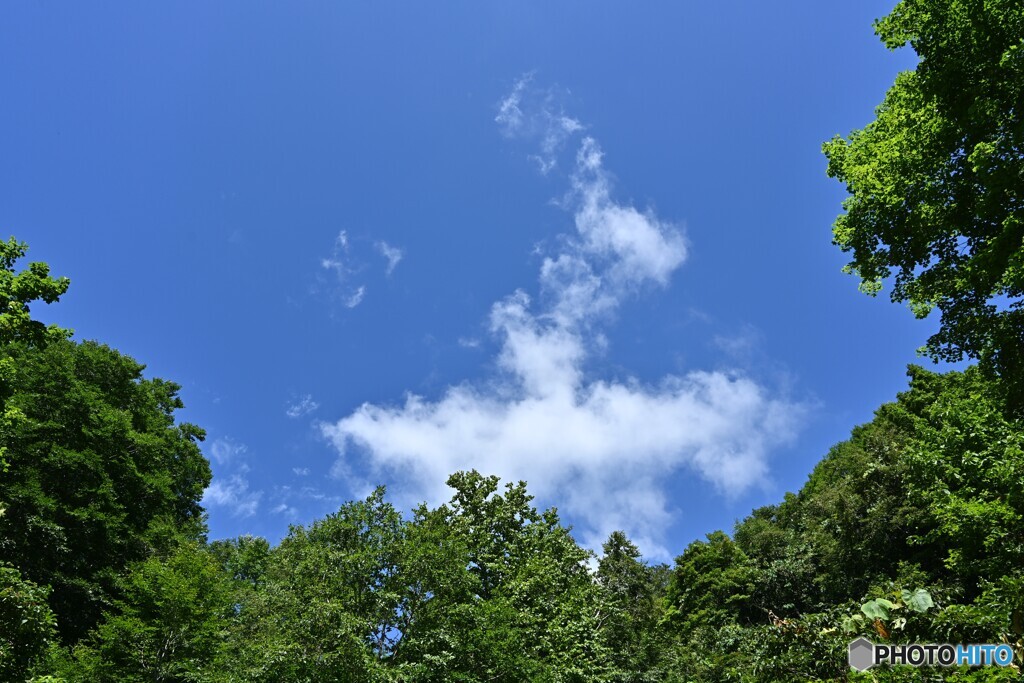 なつぐも