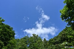 なつぐも