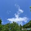 なつぐも