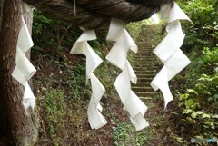 願い込めて