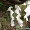 願い込めて