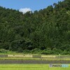 山里の風景